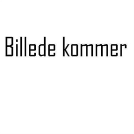 Victron Phoenix Smart IP43 lader 36v 15A (1 utgang)